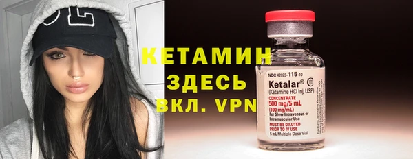 сатива Балахна