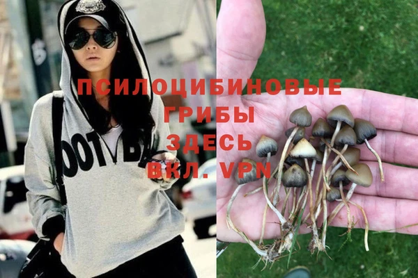 сатива Балахна