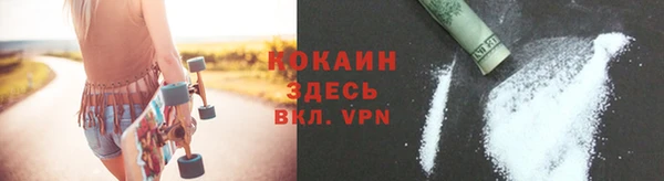 сатива Балахна
