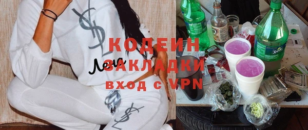 сатива Балахна