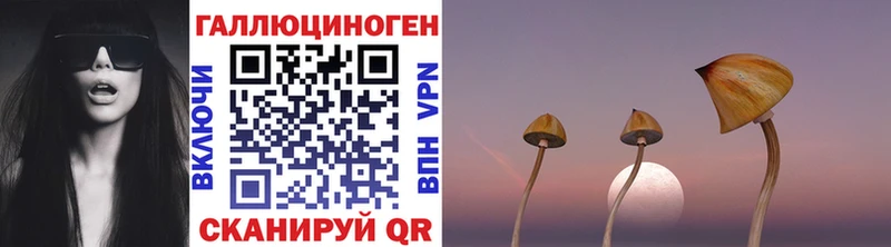 Псилоцибиновые грибы Magic Shrooms  купить наркоту  Красноуральск 