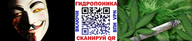Канабис гибрид мега онион Красноуральск